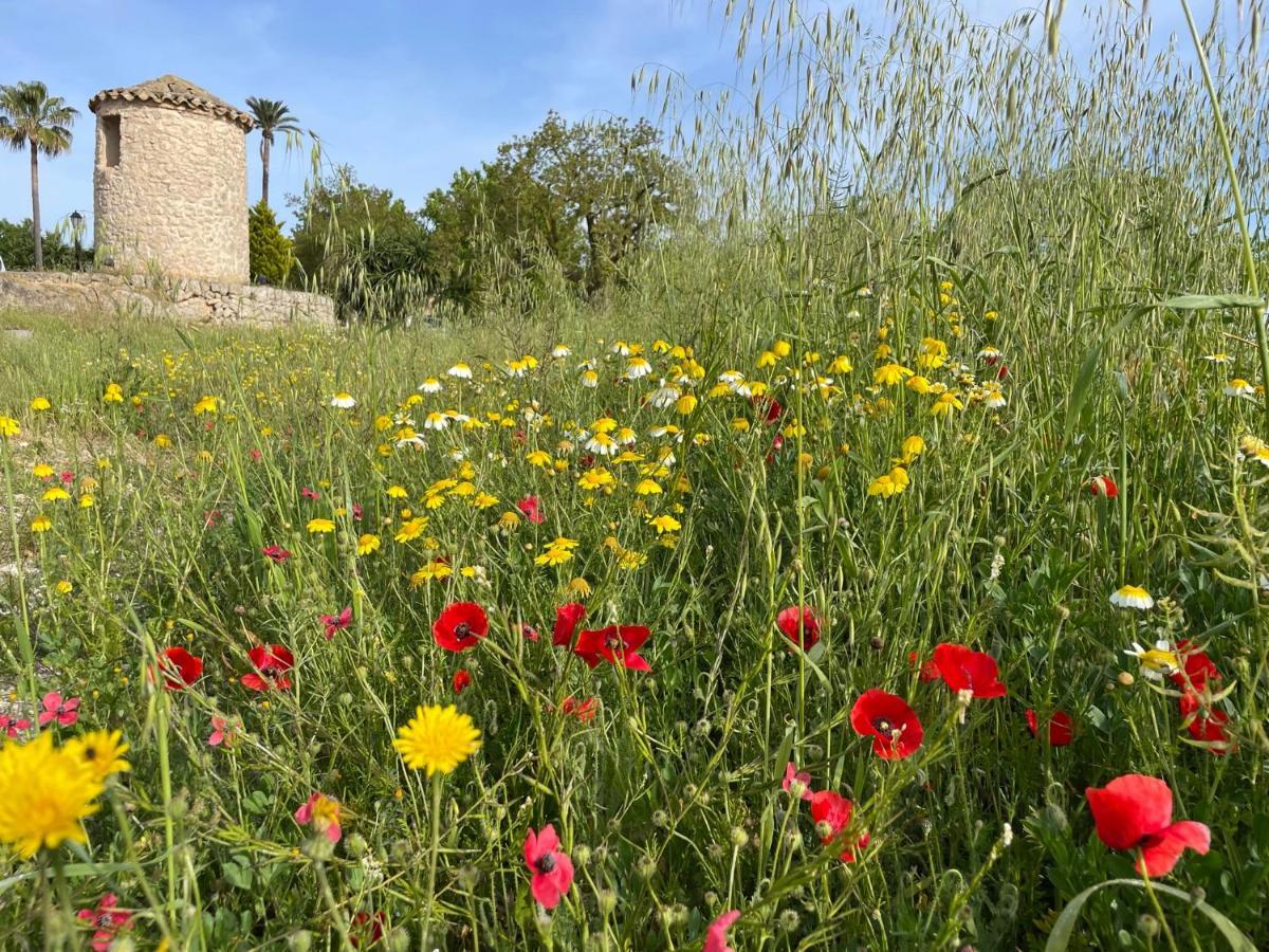 Finca Son Manera Montuïri Kültér fotó