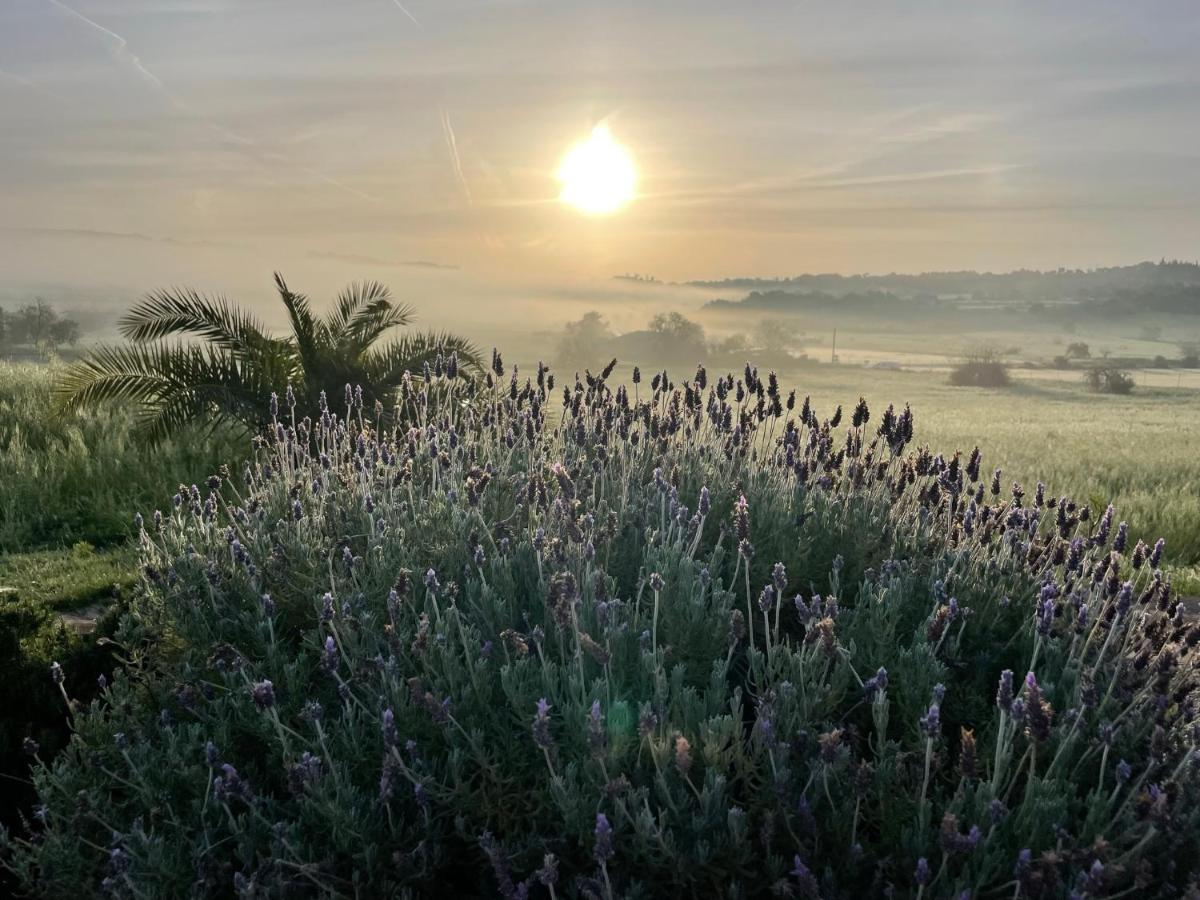 Finca Son Manera Montuïri Kültér fotó